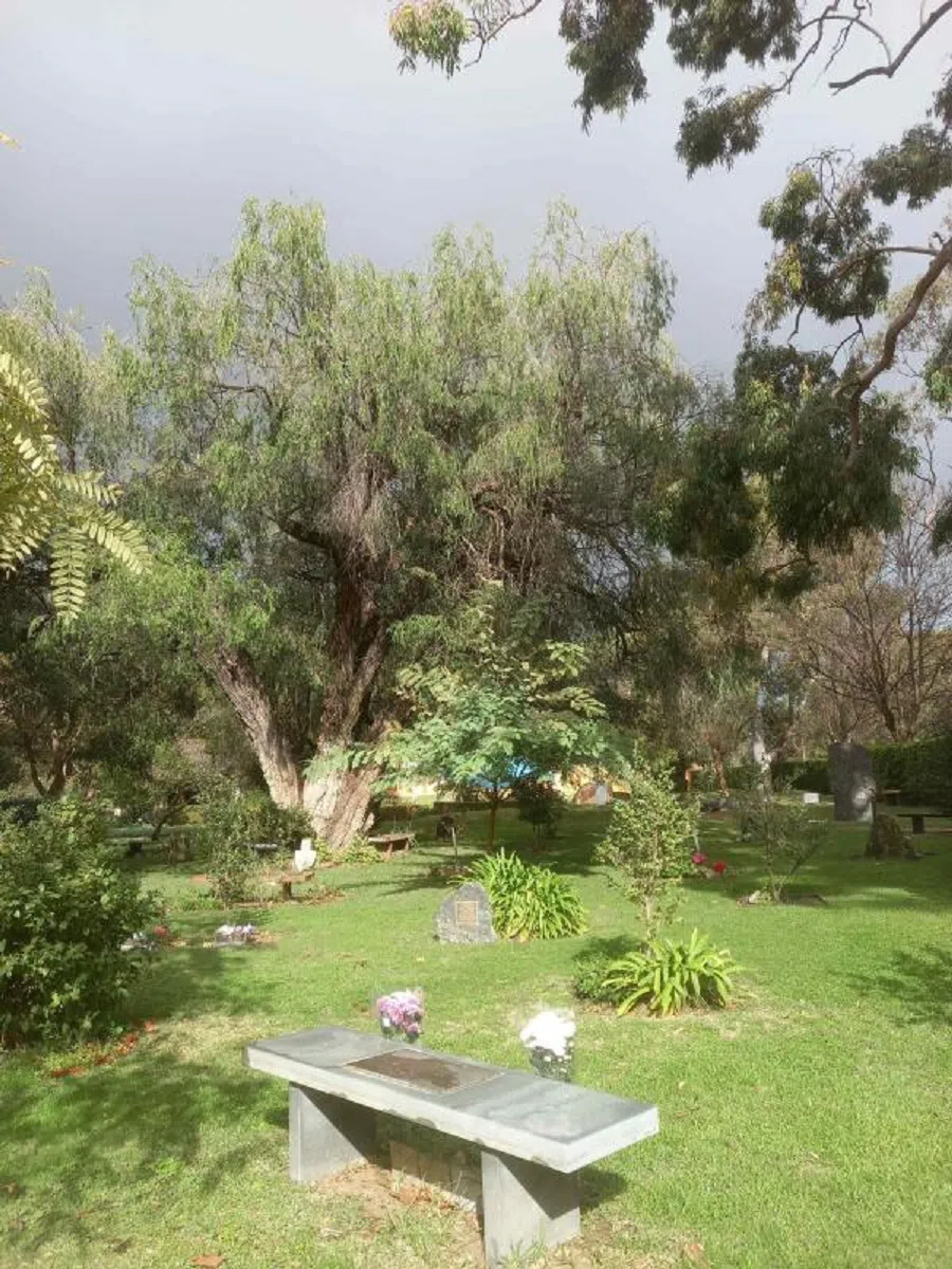 Pan Shou, along with his two wives and son, rest in the serene Karrakatta Cemetery in Perth. (Photo provided by author)