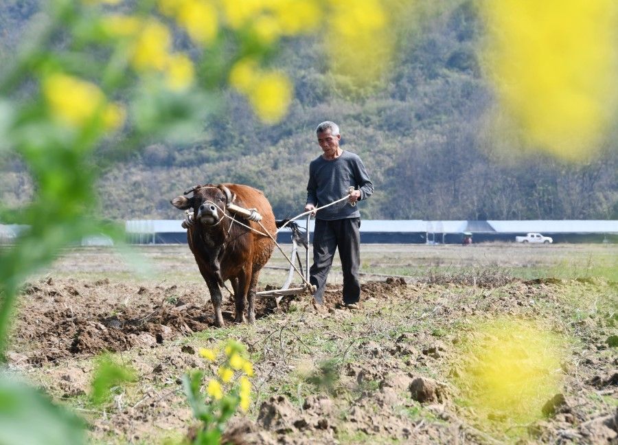 A villager from Longtian village, Hunan province, tilling his land, 27 February 2022. (Xinhua)