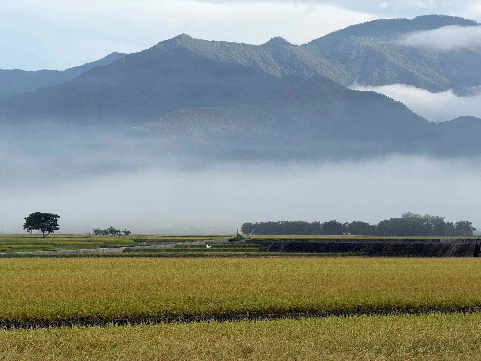 Returning to Chishang, returning to nature.