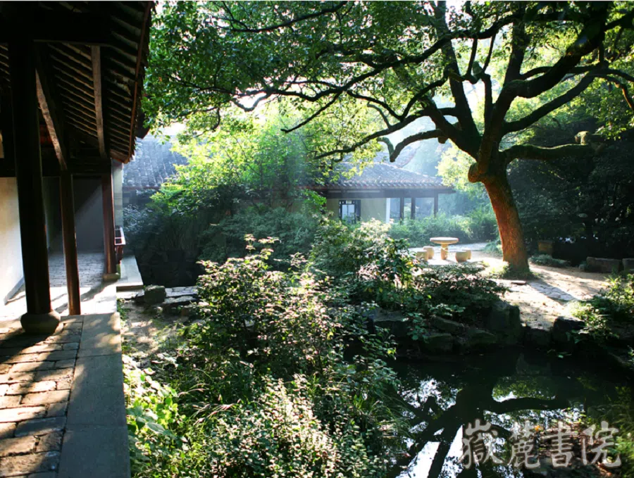 Greenery in Yuelu Academy.