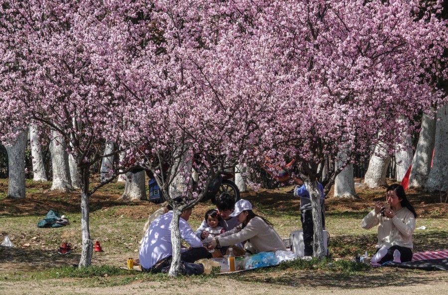 People relaxing in a park amid cherry blossoms in Nanjing, 15 March 2020. (Yang Lei/Xinhua)