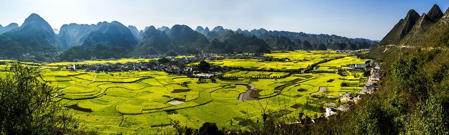 Rapeseed flower fields and karst mountains of Guizhou, China. (iStock)