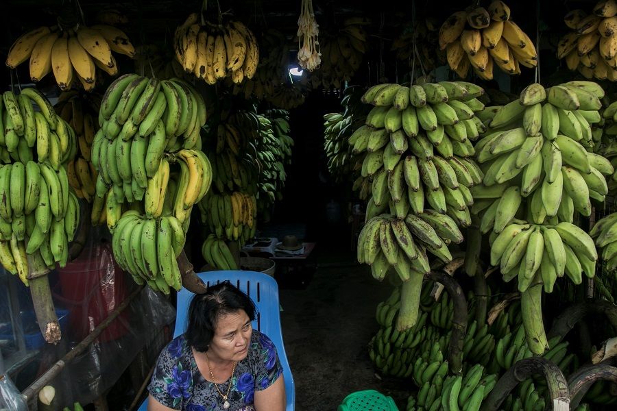 This photo taken on 11 December 2020 shows a vendor waiting for customers at a wholesale coconut and banana market in Yangon, Myanmar. (Sai Aung Main/AFP)