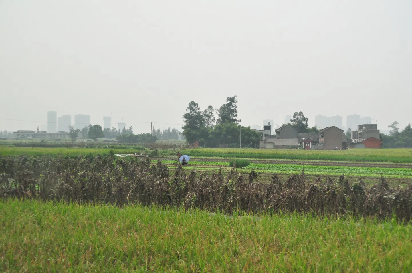 Following economic reforms in rural areas, farmers could now cultivate their private plot of land. (SPH)
