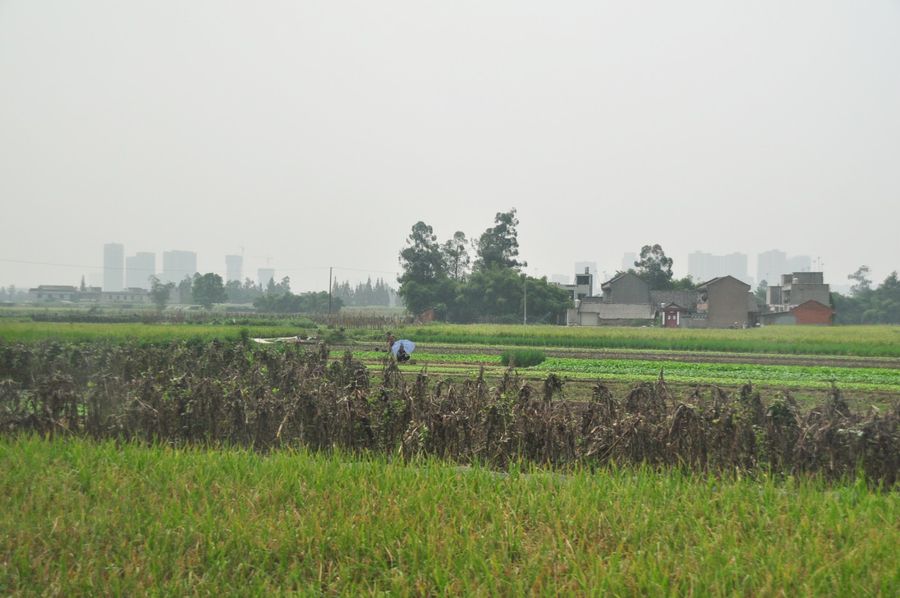 Following economic reforms in rural areas, farmers could now cultivate their private plot of land. (SPH)