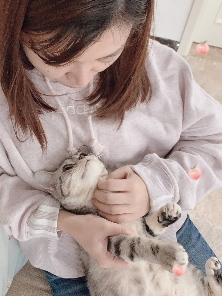 Single life may sometimes be boring, but Zheng Hong has her hands full with her cat.