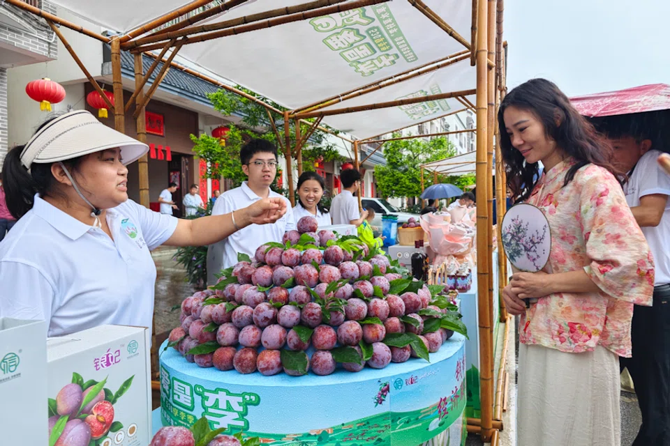 A tourist interacts with a local fruit seller in Xinyi county, Guangdong. (CNS)
