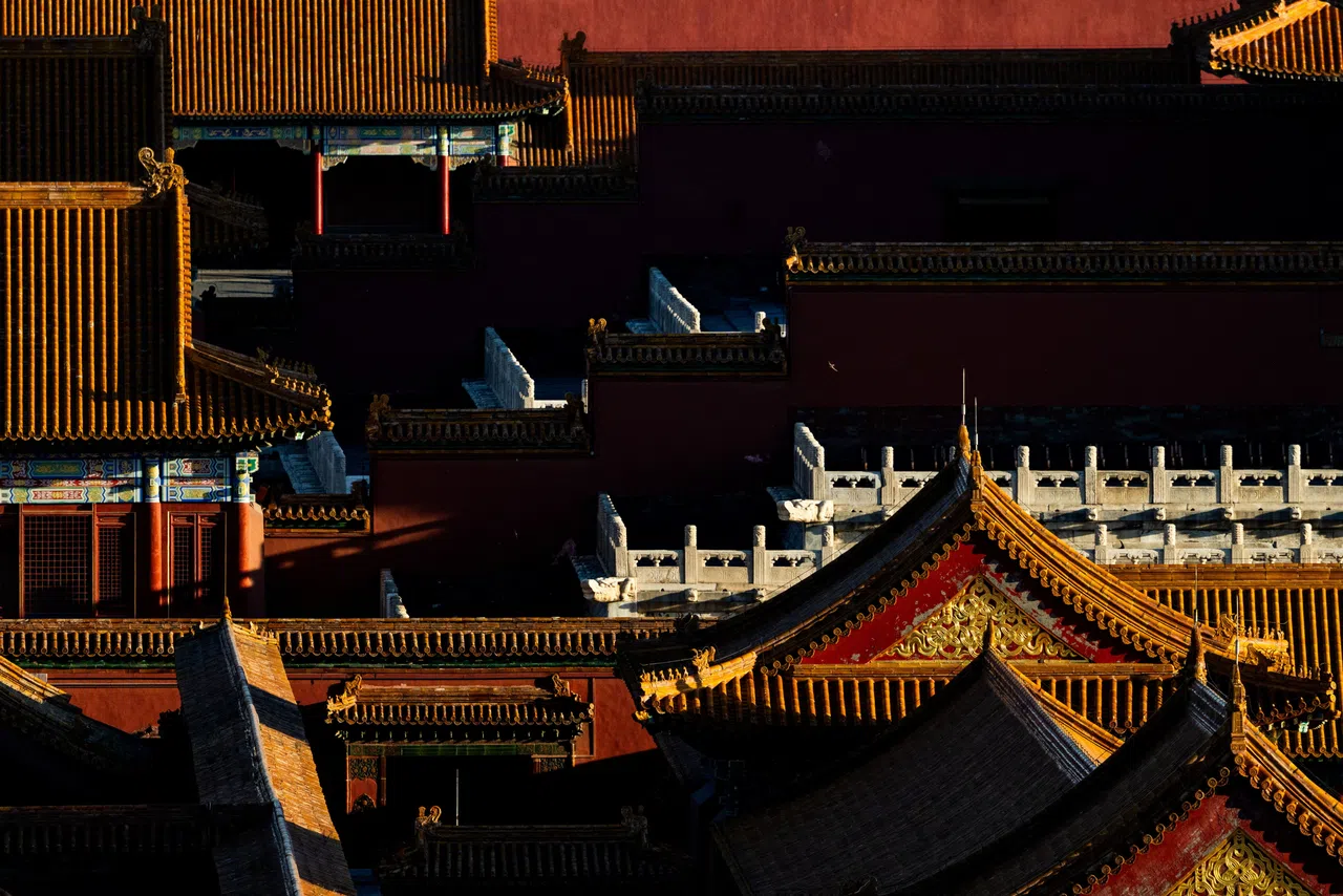 Birds fly beside the traditional rooftops of the Forbidden City in Beijing, China, 7 May 2026.