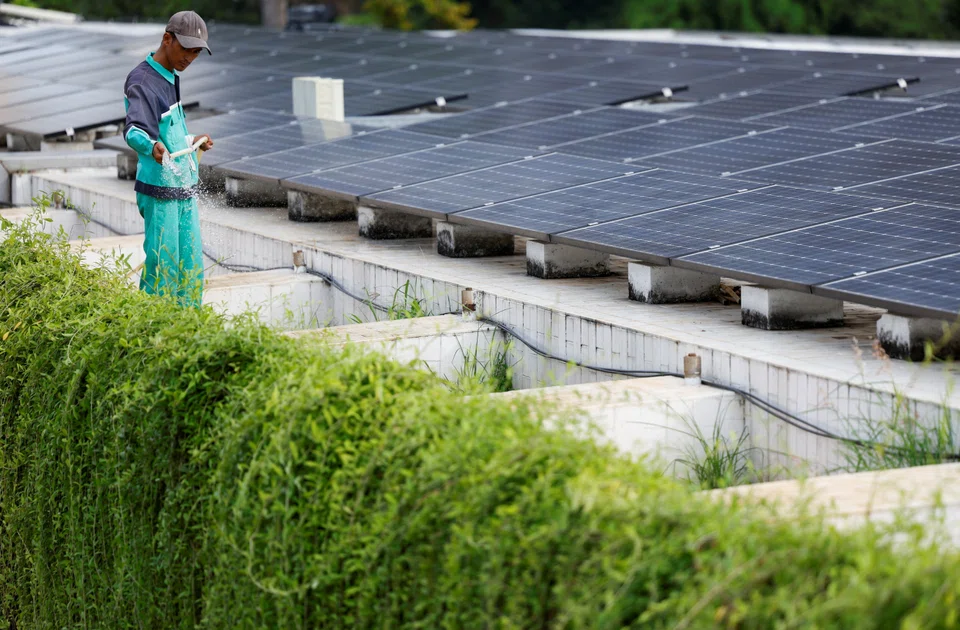 A gardener waters the plants near solar panels that partially provide electrical power to the Grand Mosque of Istiqlal in Jakarta, Indonesia, 26 March 2024. (Willy Kurniawan/Reuters)