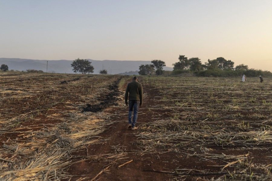 A sugar cane farmer walks across his farm which was severely damaged by heavy rains, at the Khanyangwane sugarcane project in Nkomazi, Mpumalanga province, South Africa, on 3 May 2023. Governments and businesses are struggling as a rise in extreme weather events coincides with a surge in borrowing costs. (Guillem Sartorio/Bloomberg)