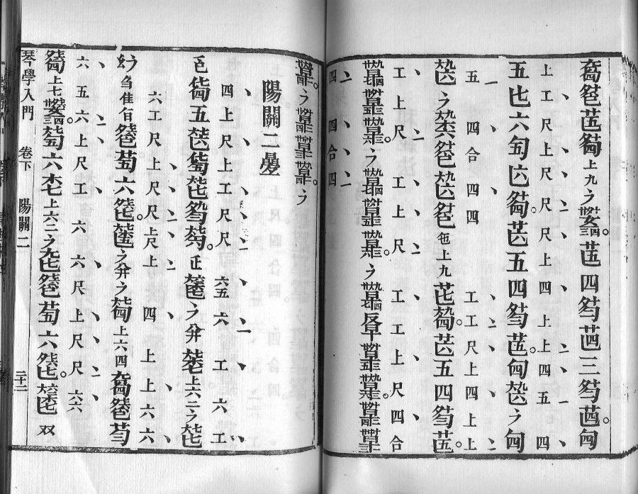 A page showing a "shorthand" score for guqin. (Internet)