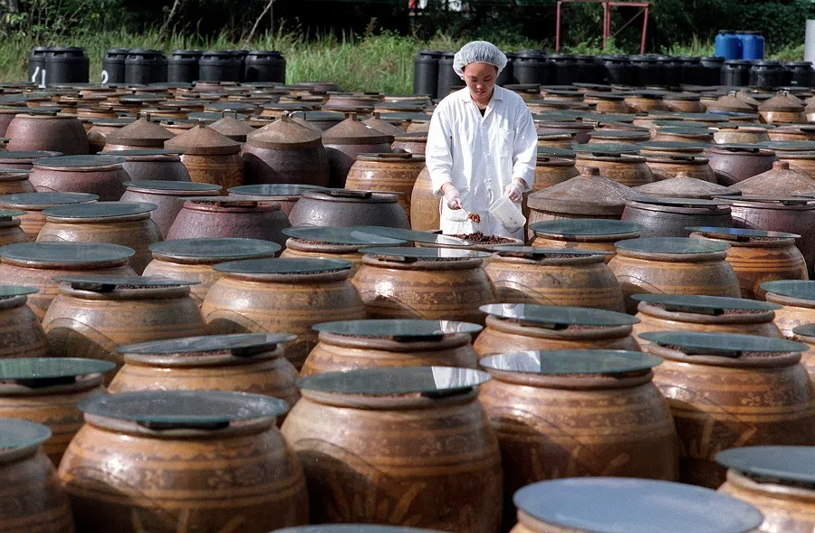 A food technologist checks the soy beans at the now defunct Sinsin Food Industries’ factory in Jurong, Singapore. (SPH Media)