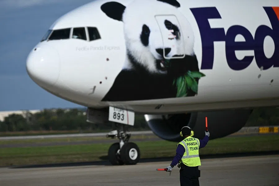 A cargo jet operated by FedEx transporting two giant pandas, lands at Dulles airport in Virginia on 15 October 2024. (Brendan Smialowski/AFP)