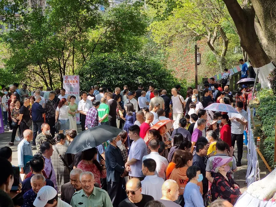 China's Chongqing matchmaking corner has been relocated from Hongyadong to People's Park, and every weekend, a large group of parents flock to find a spouse for their children. (SPH/Edwin Ong)