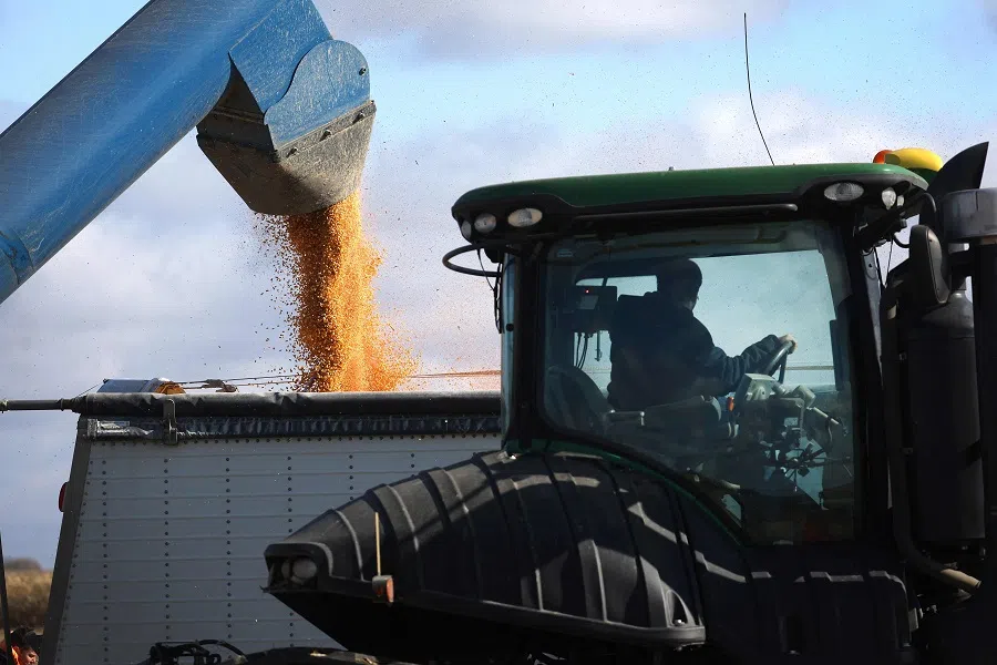 Workers harvest corn in a field on 31 October 2023 near McIntire, Iowa, US. (Scott Olson/Getty Images/AFP)