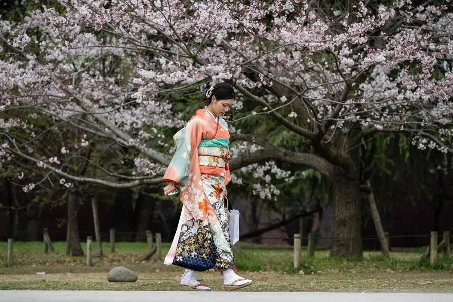 A woman in traditional dress walks past a cherry blossom tree at Ueno Park in Tokyo on 25 March 2026. (Andrew Caballero-Reynolds/AFP)