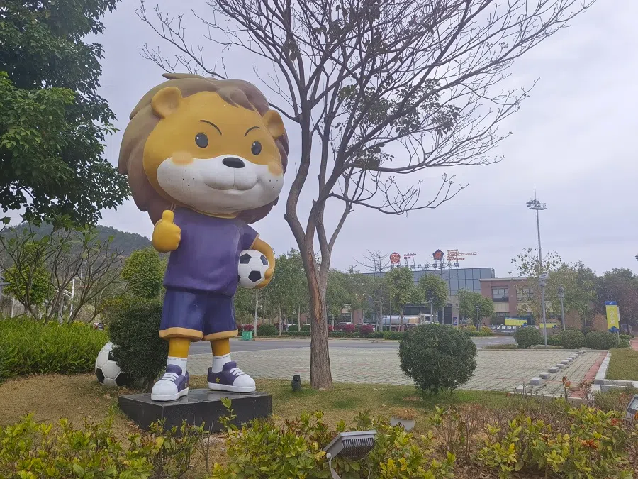 Elements related to football can be seen all over Wuhua county, the "hometown of football". (SPH Media)