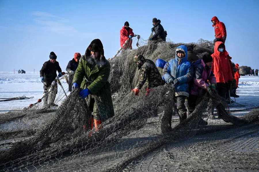 Fishermen bring in their catch using a traditional method by placing a net under the ice during the annual Chagan Lake Winter Fishing Festival in Songyuan, in northeastern China's Jilin province. (Jade Gao/AFP)
