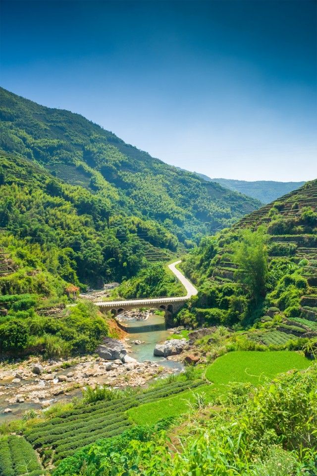 The rolling hills of Fujian, China. (iStock)