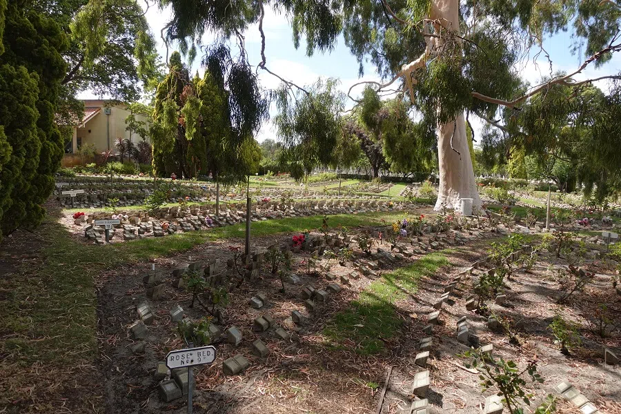 A Rose Garden at the Karrakatta Cemetery in Perth. (Photo: Sam Wilson/Licensed under CC BY-SA 4.0)