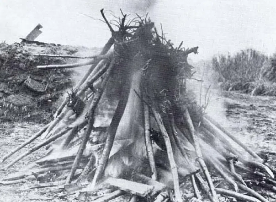 Cherry trees given by the City of Tokyo to the United States to plant along the Potomac River being burned after being discovered to be infested by agricultural pests and disease. (National Park Service website)