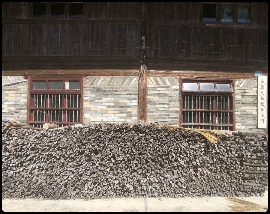 Planning ahead - this local villager has collected firewood for the cold winter months ahead.