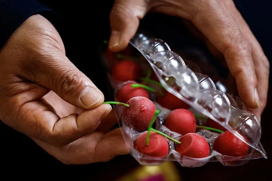 The owner of foie gras producer Changhao Biotechnology Co, shows cherry-shaped foie gras desserts produced by his company, in Huoqiu county, Anhui province, China, on 28 April 2026.