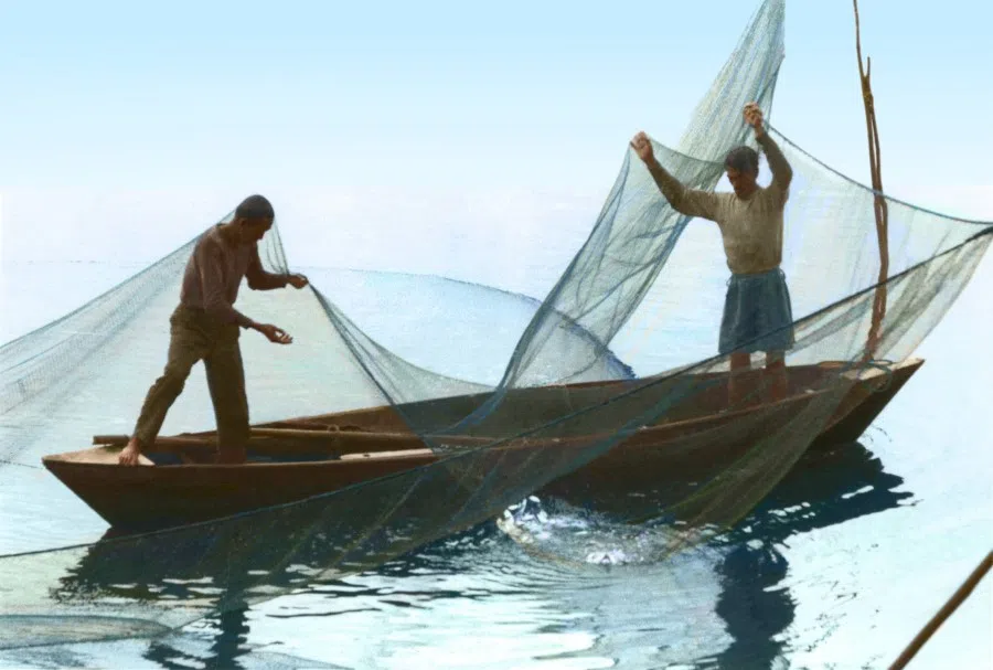 Two fishermen in Singapore take in their nets, 1950s. Generally, fishing from a small wooden boat was a two-person effort.