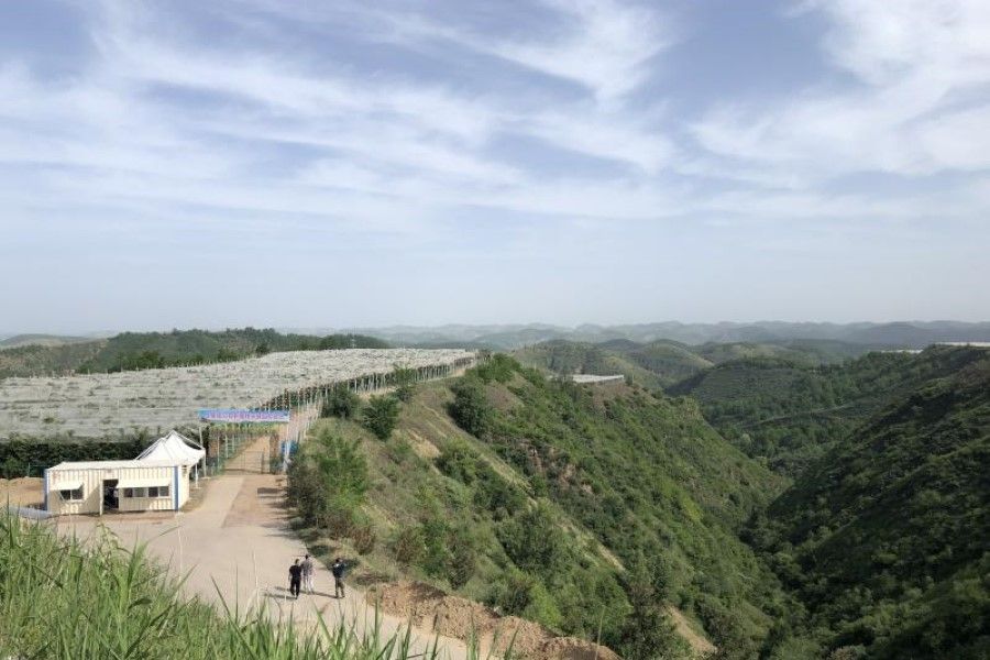 Since 1999, Yan'an has implemented a "Grain for Green" programme, turning dust and silt into lush foliage over 20 years. (Photo: Yang Danxu)