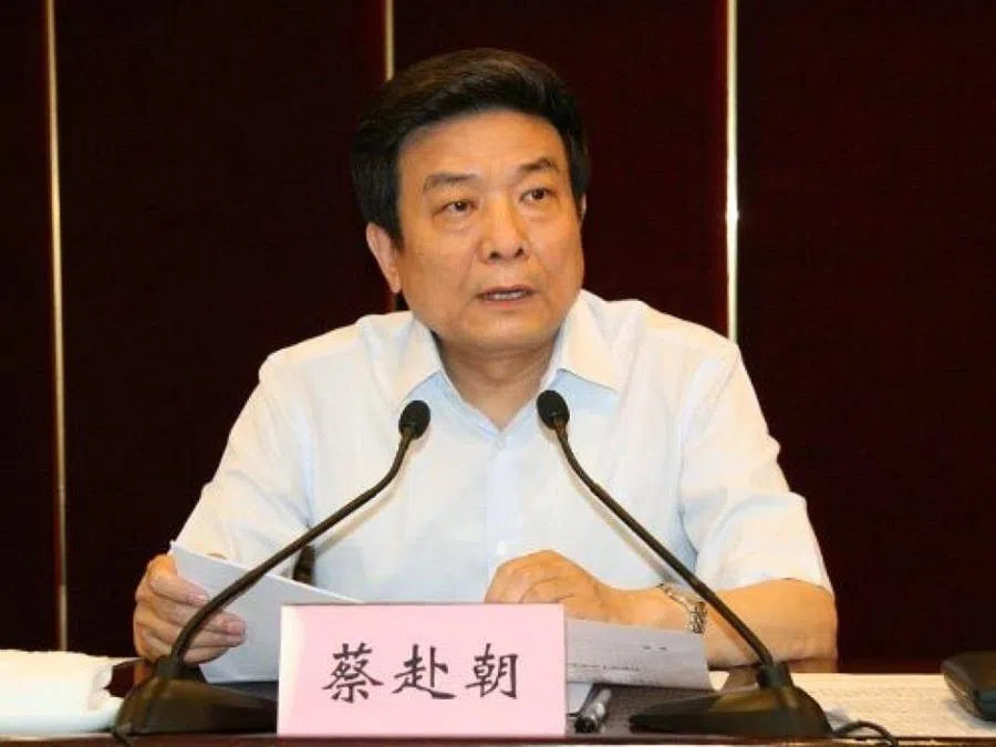 Cai Fuchao was announced on 15 July to be under investigation.