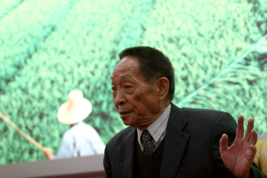 This photo shows Yuan Longping in 2006, at a press event with Chinese media. (CNS)