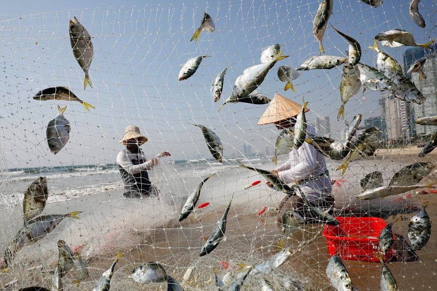 People collect fish on the beach during the coronavirus outbreak in Da Nang, Vietnam, on 6 May 2020. (Kham/Reuters)