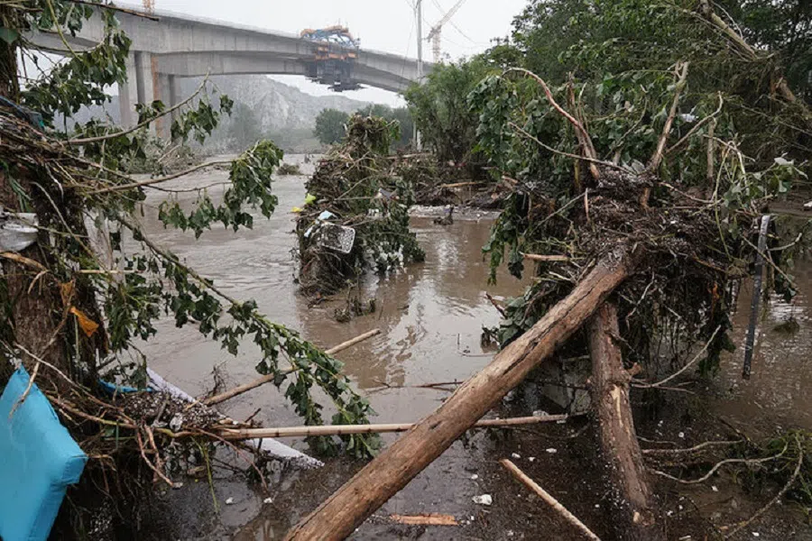 Trees fell down by Yongding river at Chenjiazhuang village in Mentougou district, Beijing, on 1 August 2023.