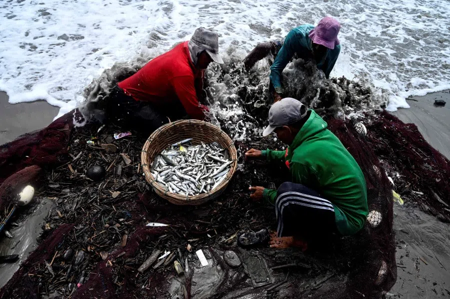 Fishermen collect fish while picking out the waste from their net along the coast of Banda Aceh on 1 August 2021. (Chaideer Mahyuddin/AFP)