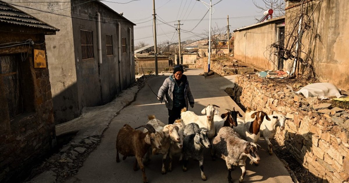 The complex economics behind gifting in rural China
