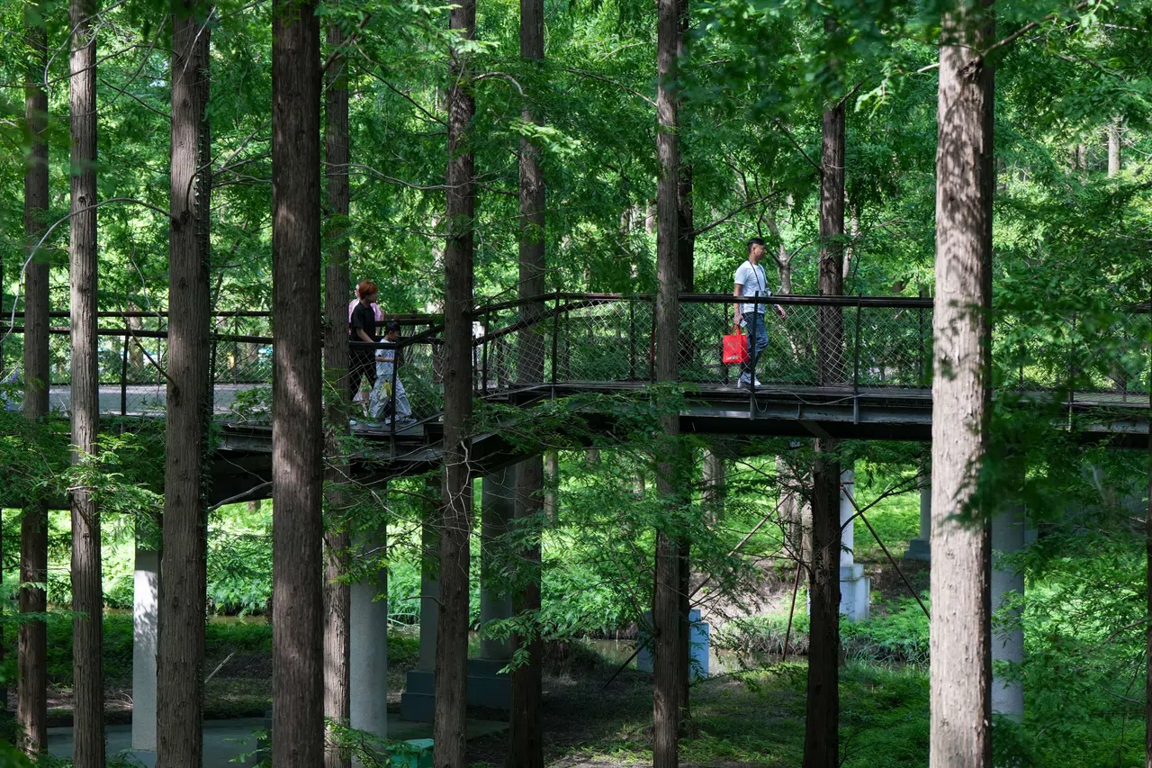 From singing bowls to forest therapy, China’s healing economy has exceeded 10 trillion RMB.