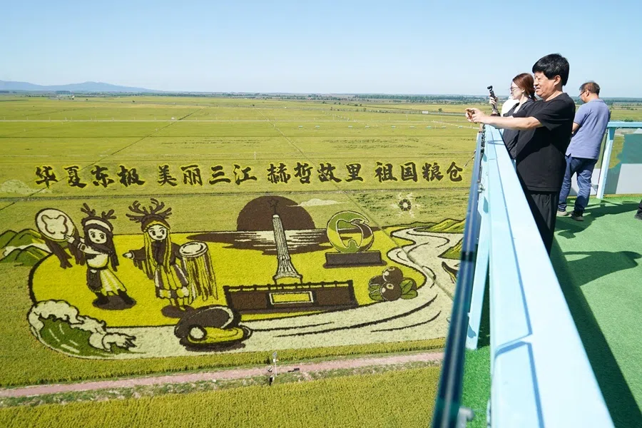 Visitors are seen photographing the paddy art at the Ten Thousand Mus Rice Park in Fujin city, Heilongjiang province, on 5 September 2026.