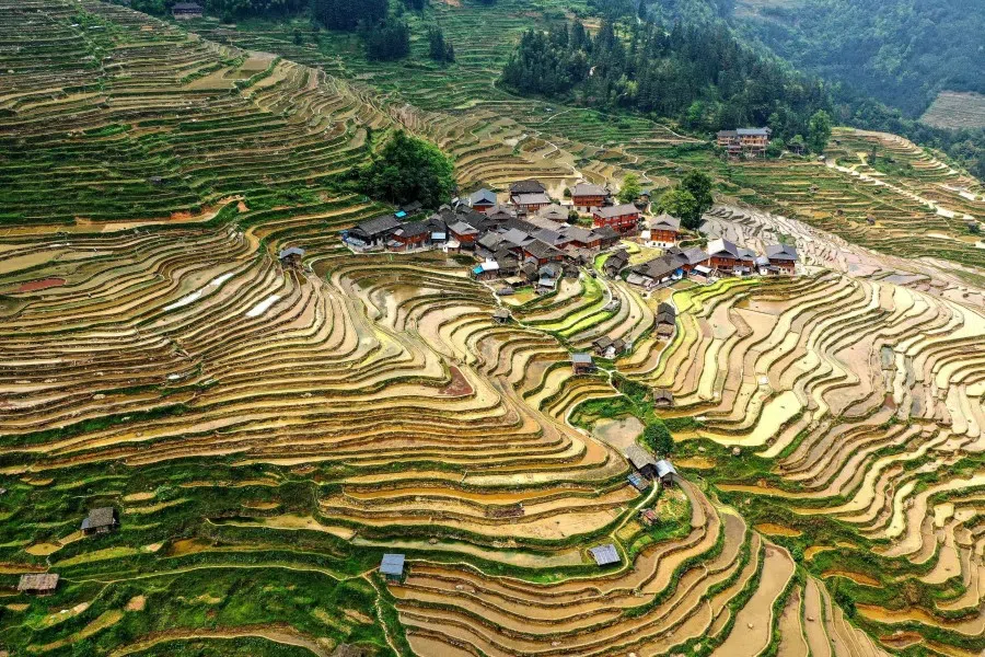 This aerial photo taken on 24 April 2021 shows a view of terraced rice paddy fields in Congjiang in China's southwestern Guizhou province. (STR/AFP)