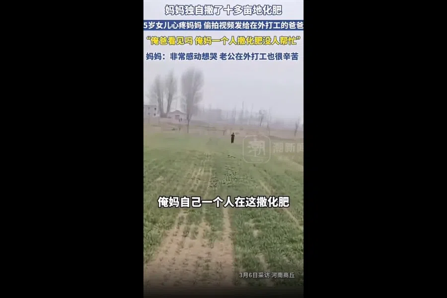 A screen capture from a video recorded by a five-year-old girl in Henan province, showing her mother spreading fertiliser in a field alone. (Internet)
