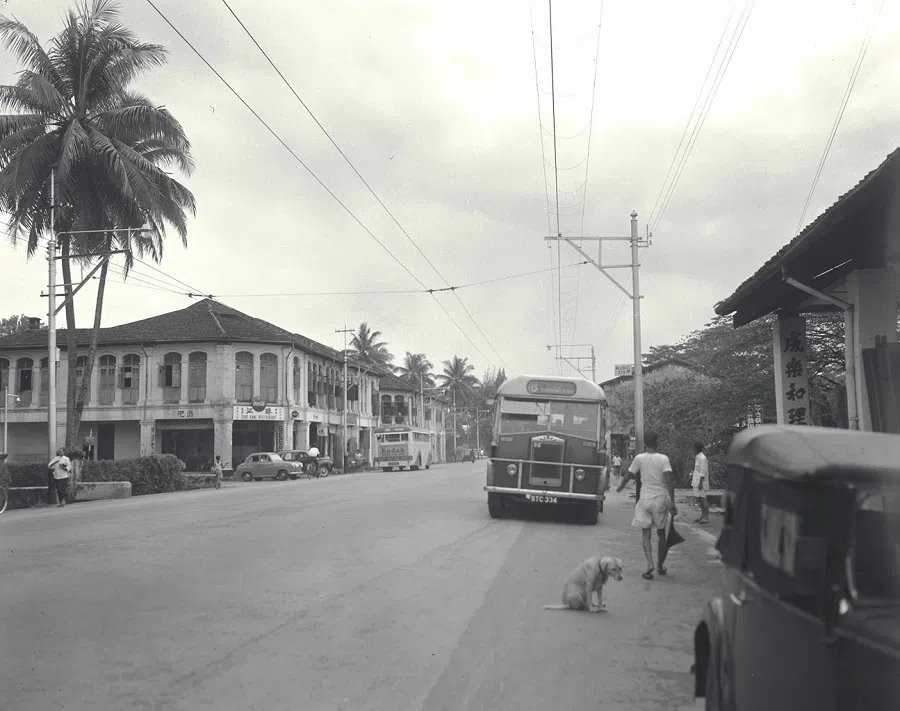 A view of St George's Road owned by Hoo Ah Kay in the 19th century. It was in this district that Hoo built the famed Whampoa Gardens, which was frequently visited by local visitors and tourists around the region. (SPH)