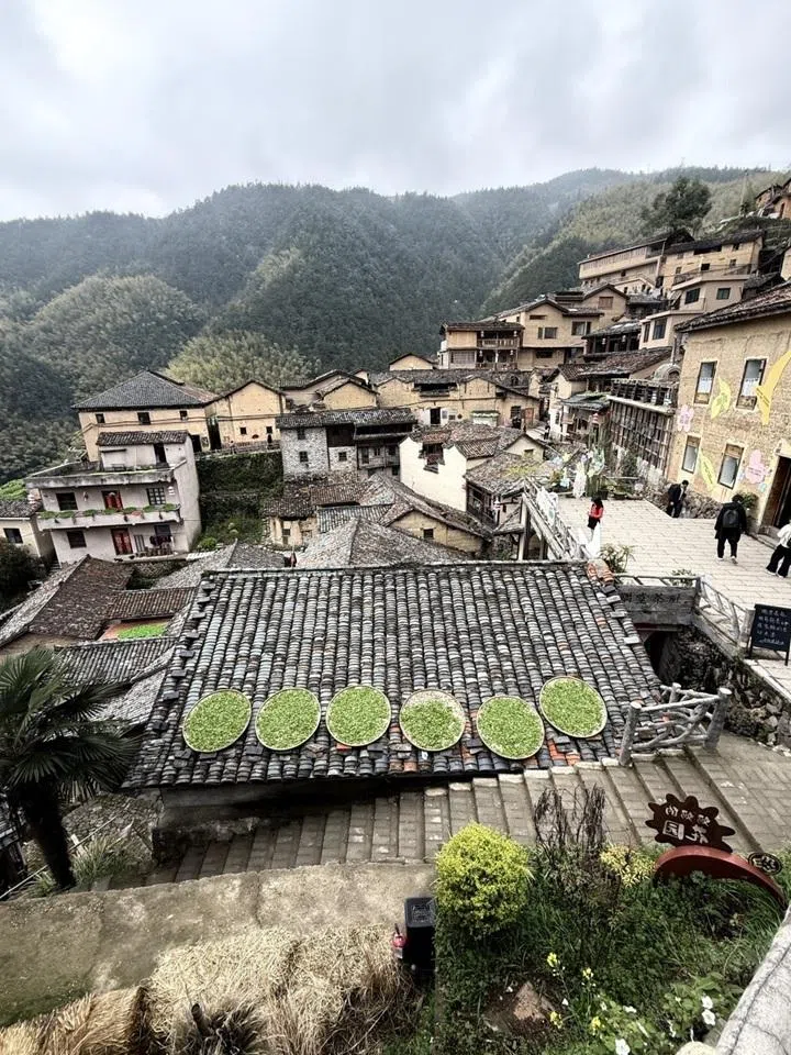 Tea leaves drying on rooftops in Chenjiapu village.
