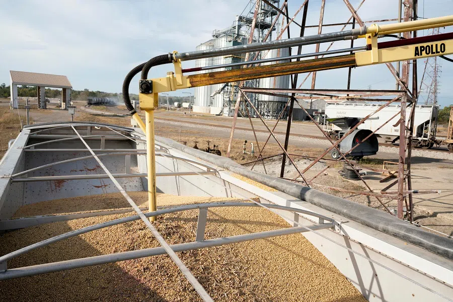 A soybean delivery is sampled during harvest season at Deerfield AG Services grain elevator facility in Massillon, Ohio, US, on 7 October 2021. (Dane Rhys/Reuters)