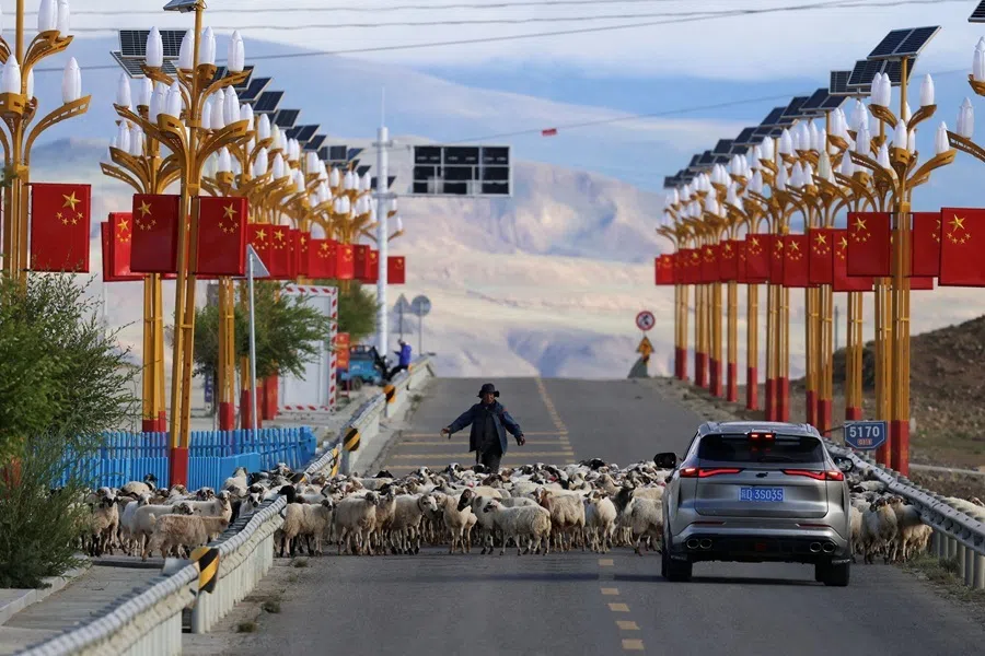 A shepherd guides a flock of sheep away from a road, during an organised media tour, in Shigatse, Tibet Autonomous Region, China, 6 September 2026.