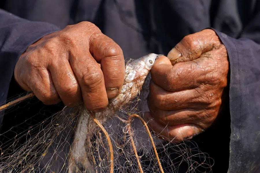 A Cambodian fisherman removes a fish from his net on his boat on the Mekong river in Phnom Penh, Cambodia, 19 February 2021. (Cindy Liu/Reuters)