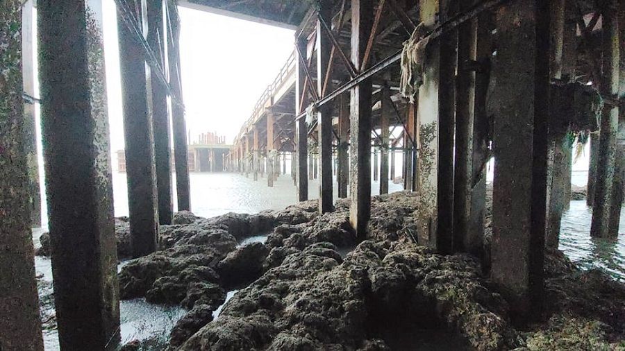 Iron frames directly inserted into the algal reefs. (Photo provided by Pan Chong-cheng)