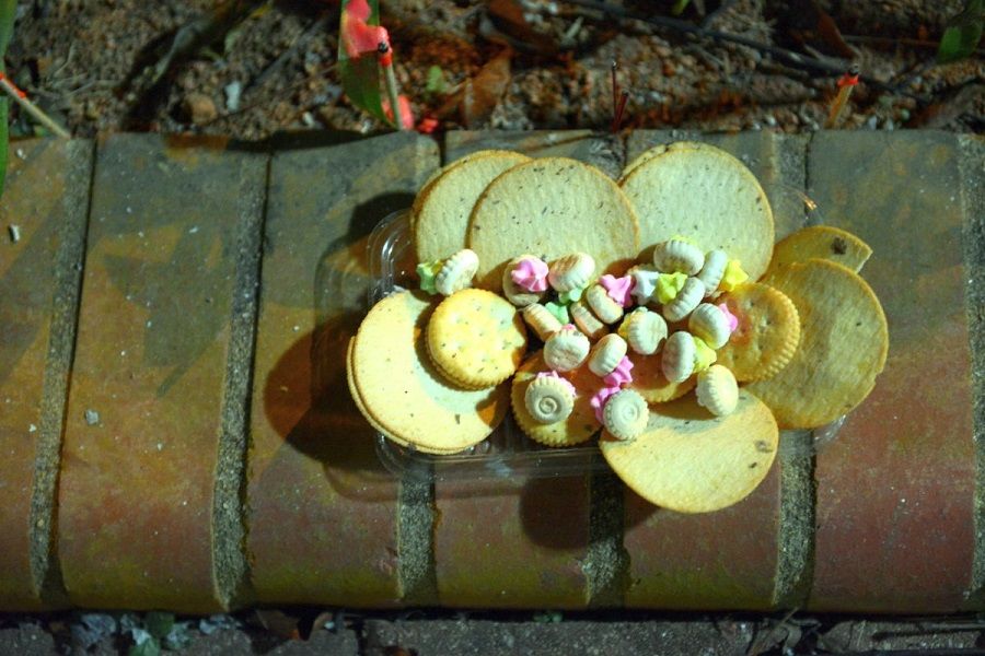 A roadside offering of iced gem biscuits. (Photo: Terence Heng)