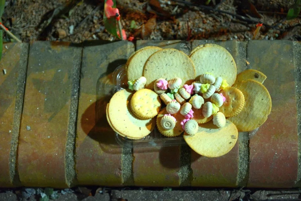 A roadside offering of iced gem biscuits. (Photo: Terence Heng)