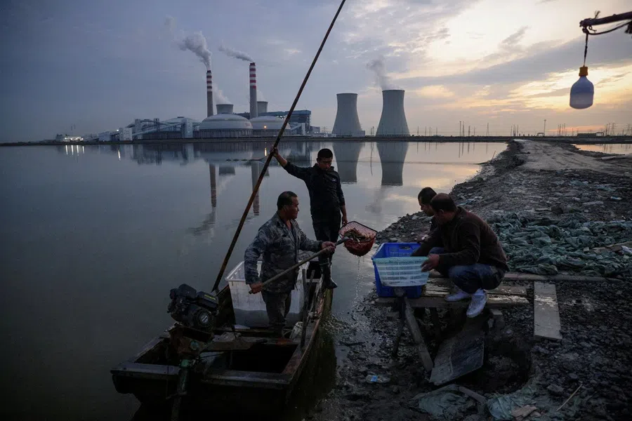Fishermen bring in their catch from a lake in front of a power plant of the State Development and Investment Corporation outside Tianjin, China, 14 October 2021. (Thomas Peter/Reuters)
