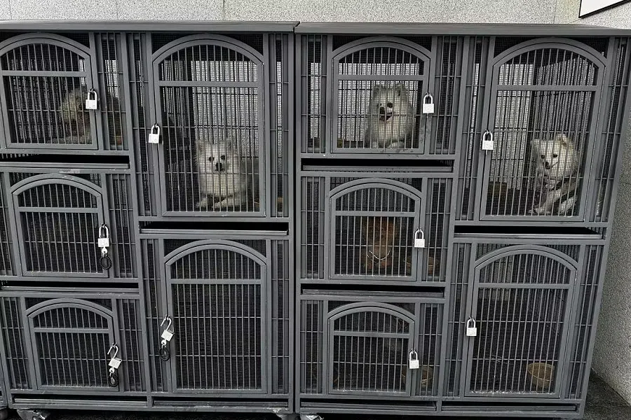 Pet lockers readily available for customers.