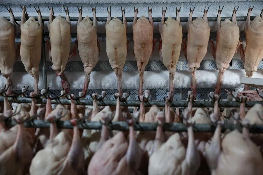 Frozen geese hang in a cold storage room at foie gras producer Minghe Ecological Breeding Technology Co in Huoqiu county, Anhui province, China, on 29 April 2026.